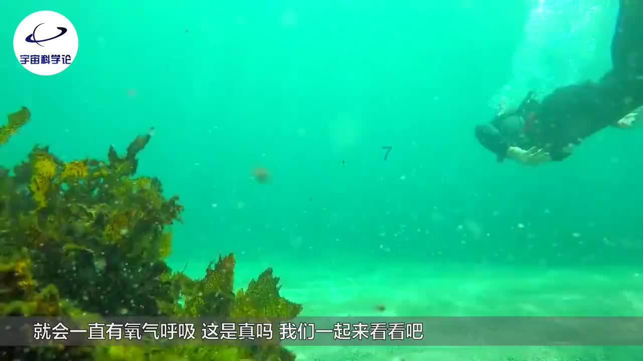 外星人回家大冒险